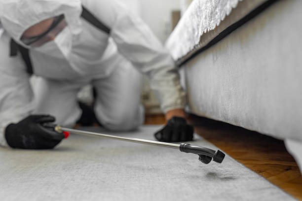 Professional Bed Bug Control technician working in Franklin, CA