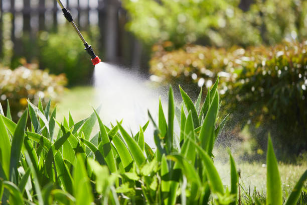 24/7 Emergency Bed Bug Control experts in Franklin, CA