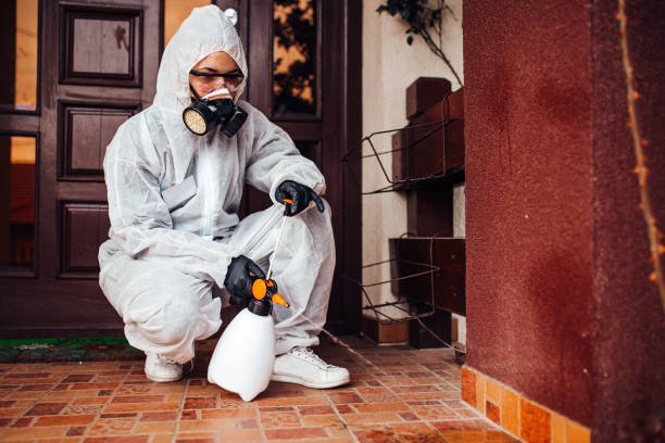 Reliable Bed Bug Control contractor in Franklin, CA by Nex Pest Control